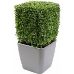 BUXUS EDGE NEW, 85cm – Sleviste.cz