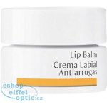 Dr, Hauschka Lip Balm 4,5 ml – Zboží Dáma