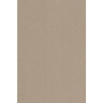 BRUNNEN A4 35ks světle hnědý vhodný do tiskárny 120g/m2 – Zboží Dáma