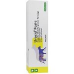 Urocid pasta 100 g – Zboží Mobilmania