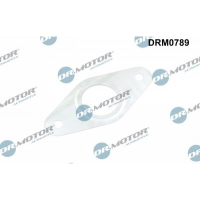 DR MOTOR DRM0789 – Hledejceny.cz