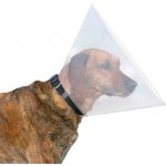 Trixie Ochranný límec 38-44/20 cm M – Zboží Dáma