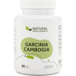 Natural Medicaments Garcinia Cambogia 90 kapslí – Hledejceny.cz