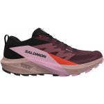 Salomon Sense Ride 5 GTX W L47592300 catawba/grape/orchid bouquet – Zboží Mobilmania