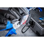 BGS Gola sada 1/4 – Zboží Dáma