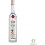 Fleret Collection 1850 Hruškovice Williams 40% 0,7 l (holá láhev) – Zboží Dáma