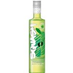 Likér Squash Zelené jablko 16% 0,5 l (holá láhev) – Zboží Dáma