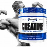 Gaspari Nutrition Creatine 300 g – Hledejceny.cz
