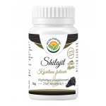 Salvia Paradise Shilajit Mumio 25 g – Hledejceny.cz