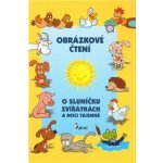 O sluníčku, zvířátkách a noci tajemné - Obrázkové čtení - Alena Schejbalová