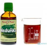 Bylinné kapky Meduňka 50 ml – Hledejceny.cz