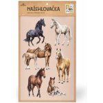 Lesní svět Nažehlovačka L 042 - Koně – Sleviste.cz