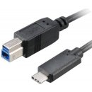 Akasa AK-CBUB28-10BK USB 3.1 C M - B M, 1m