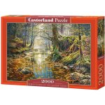 Castorland Podzimní les 200757 2000 dílků – Zbozi.Blesk.cz