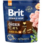 Brit Premium by Nature Senior S+M Chicken 8 kg – Zboží Mobilmania