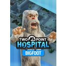 Two Point Hospital: Bigfoot