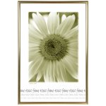 Tradag Rám zlatý s plastem 40x60 – Hledejceny.cz