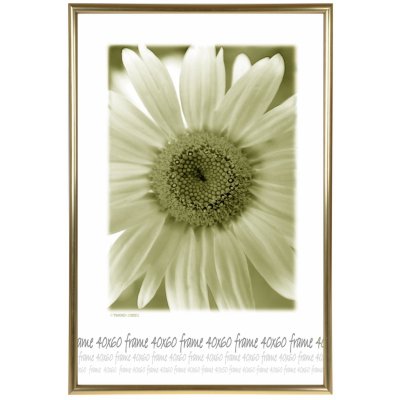 Tradag Rám zlatý s plastem 40x60 – Hledejceny.cz