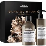 L'Oréal Professionnel Serie Expert Absolut Repair Molecular Duo sada pre poškodené vlasy šampon 300 ml + sérum 250 ml – Zboží Dáma