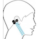 Sony LinkBuds Clip WF-LC900 – Hledejceny.cz