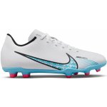 Nike Mercurial Vapor 15 Club JR FG/MG bílé DJ5958-146 – Zboží Mobilmania