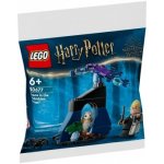 LEGO® HARRY POTTER™ 30677 Draco v Zapovězeném lese – Zboží Dáma
