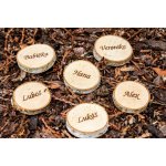 Dřevěná kolečka z břízy - se jmény – Zboží Dáma