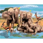 zuty Malování podle čísel Veselí sloni a gazely u vody Howard Robinson 80 x 100 cm bez rámu a bez vyp