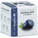 Rentex vonný vosk palmový do aroma lampy kostky Růže 8 ks 30 g – Hledejceny.cz