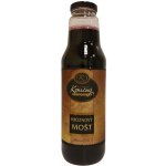 Vinařství Konečný hroznový mošt Cabernet Moravia 0,75 L – Sleviste.cz