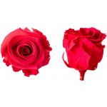 Hlavy růží - princess 16 ks Dark pink - tmavě růžová – Hledejceny.cz