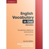 English Vocabulary in Use Elementary Second edition without answers - Michael McCarthy, Felicity O´Dell