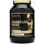 Kevin Levrone ANABOLIC MASS 3000 g – Zboží Mobilmania