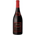 Gran Chobeo de Peciña suché červené 2012 13,5% 0,75 l (holá láhev) – Hledejceny.cz