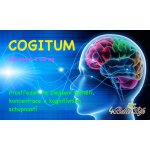 4betterlife Cogitum 100 tablet – Hledejceny.cz