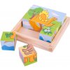 Dřevěná hračka Bigjigs obrázkové kostky kubusy Dinosauři 9 kostek