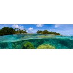 DIMEX KI180-013 Samolepící fototapeta do kuchyně Coral Reef rozměry 180 x 60 cm – Zboží Dáma