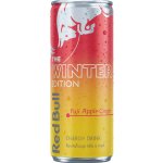 Red Bull Energetický nápoj Winter Jablko Fuji-Zázvor 250 ml – Zboží Dáma