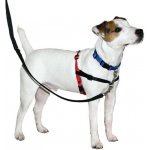 Postroj nylon Harness proti tahání Halti Medium – Zboží Dáma