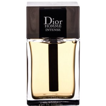 Christian Dior Dior Homme Intense 2020 parfémovaná voda pánská 100 ml