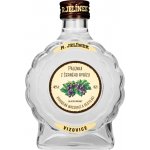 R. Jelínek Pálenka z černého rybízu 42% 0,2 l (karton) – Zboží Dáma