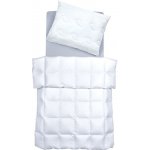 SCANquilt přikrývka Exclusive satén bavlna s Aloe vera celoroční hřejivost Sq 4 140x200 – Zboží Dáma