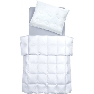 SCANquilt přikrývka Exclusive satén bavlna s Aloe vera celoroční hřejivost Sq 4 140x200 – Zboží Dáma