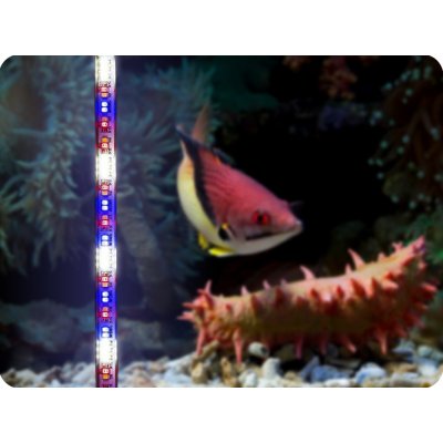 Aquael Leddy Tube Plant 17 W 1015 mm – Zbozi.Blesk.cz