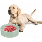 Trixie Viviana Keramická miska s letokruhy a srdíčkem 1,4 l / 20 cm – Zbozi.Blesk.cz