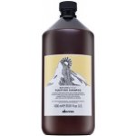 Davines NATURALTECH Purifying čistící šampon na mastné nebo suché lupy 1000 ml – Hledejceny.cz