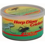 Lucky Reptile Herp Diner cvrčci velcí 35 g – Hledejceny.cz