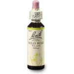 Bachovy květové esence Planá šípková růže Wild Rose 20 ml – Hledejceny.cz