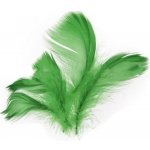 Peří v sáčku 10g zelené – Sleviste.cz
