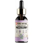 Pure Chemical esenciální olej PAČULI bez přísad 30 ml – Hledejceny.cz